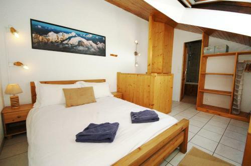 Apartment Aiguille