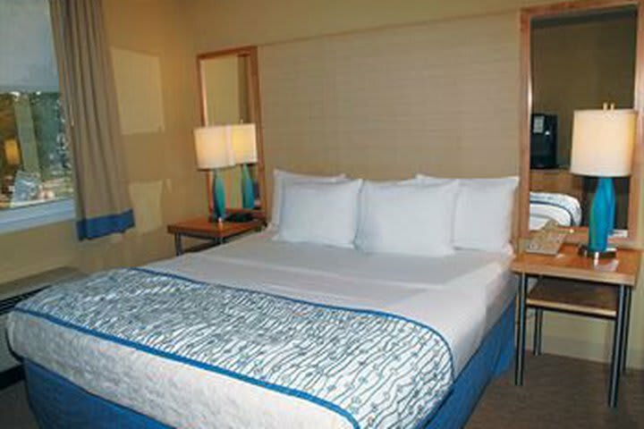 Hotel La Quinta Inn & Suites Sarasota