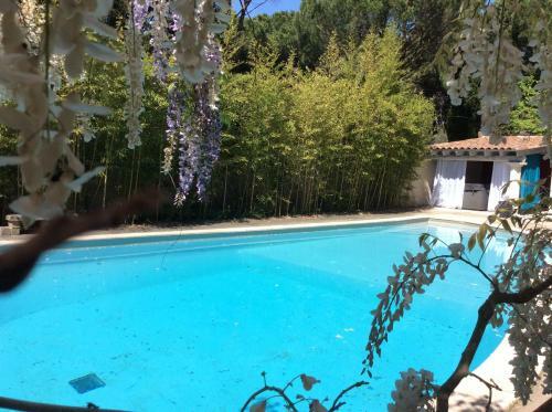 Apartamento Petit Appartement Pont Du Gard