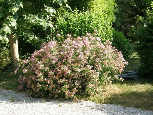 Cottage � La Jinoli�