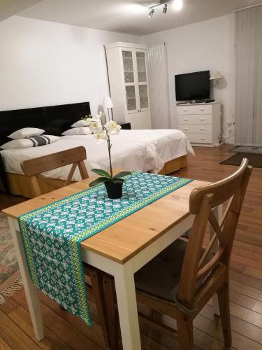 Hostal Chambre Stagiaire
