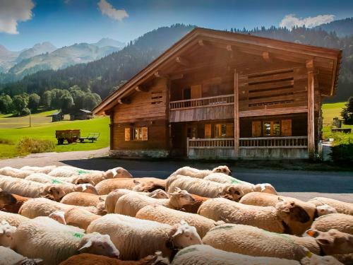 Chalet Patagonia