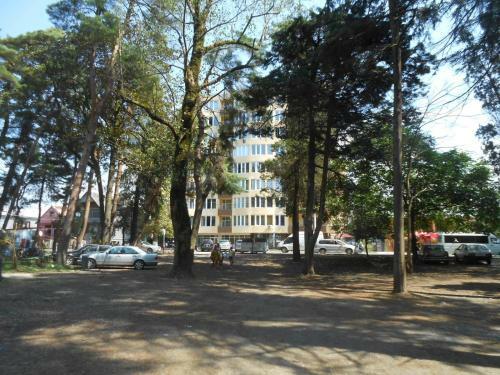 Mzeonas Beach Apartment