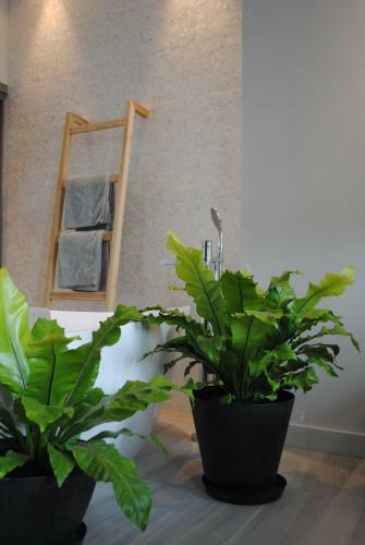 Bed & Breakfast Les Suites Massena