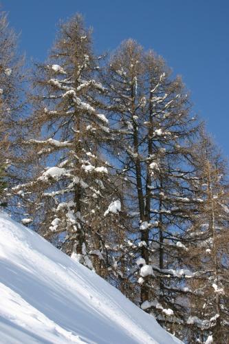 Apartamento Madame Vacances Lodges Des Alpages