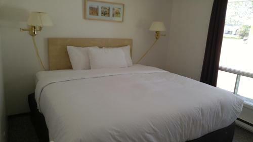 Posada Tulip Inn