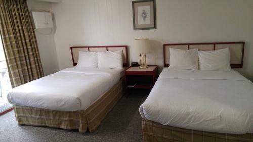 Posada Tulip Inn