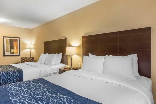 Hotel Comfort Inn - Gander