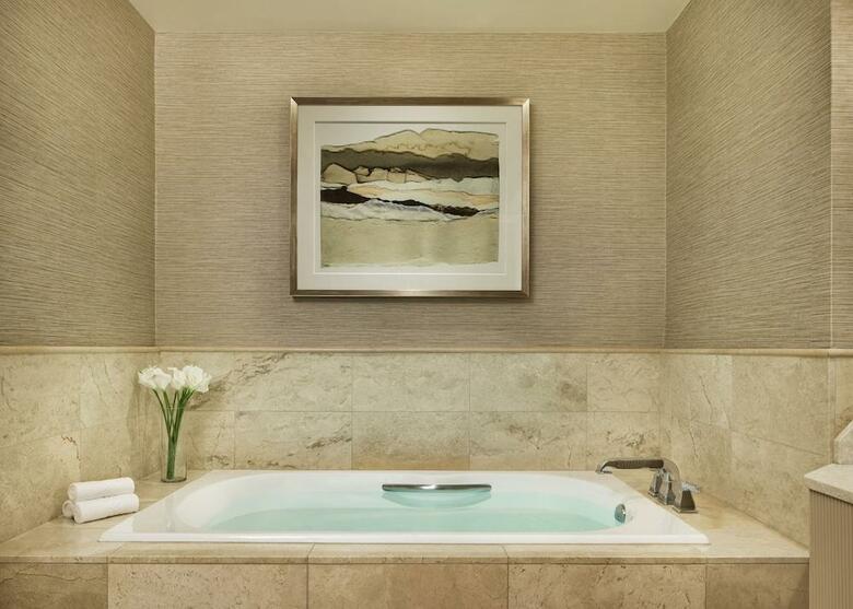 Hotel Ritz Carlton Denver