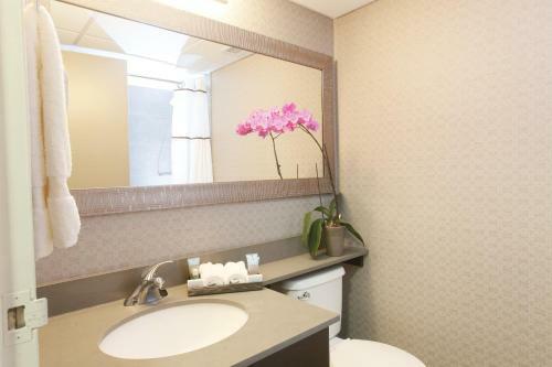 Hotel Pomeroy Inn And Suites Dawson Creek