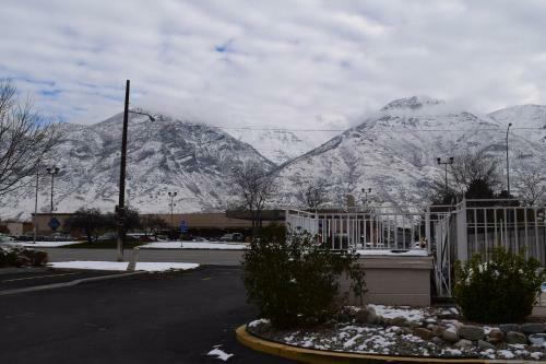Hotel Little Suites