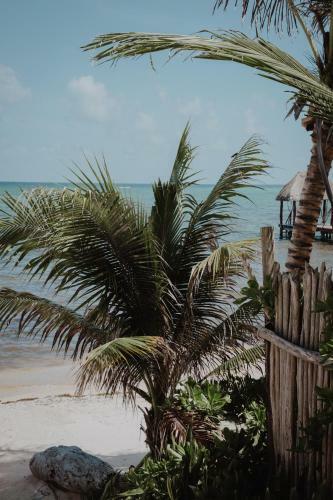 Hotel Cielo Maya Beach Tulum