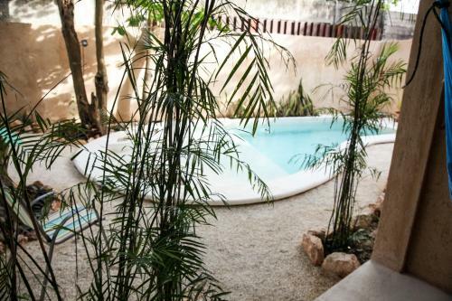 Apartamento Casa Kankin
