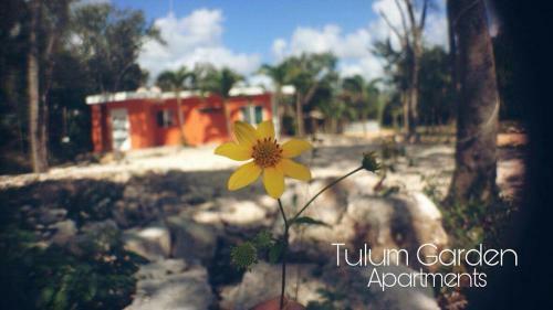 Villa Tulum Gardens 2