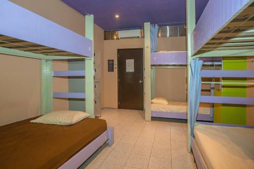 2tank Dive Hostel Cozumel