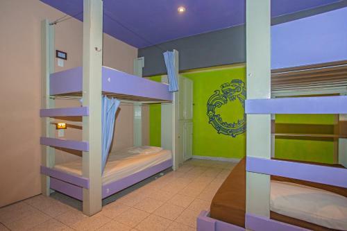 2tank Dive Hostel Cozumel
