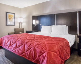 Hotel Comfort Inn