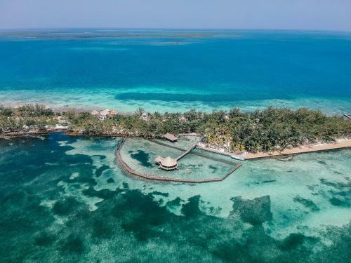 Hotel Thatch Caye Resort