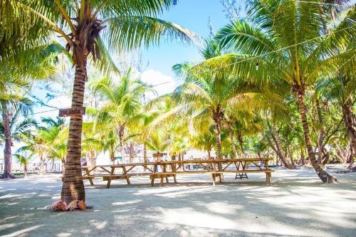 Hotel Thatch Caye Resort
