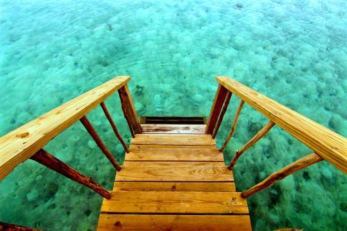 Hotel Thatch Caye Resort