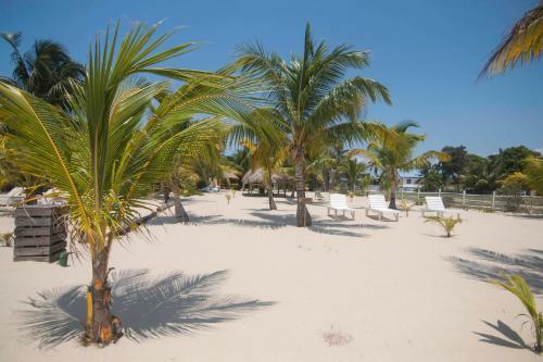 Hostal Palma�s Guesthouse