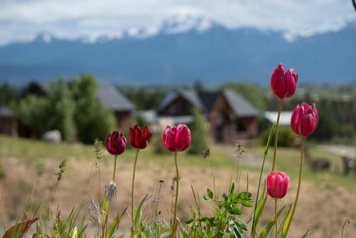 Lodge Caba�as Trevelin