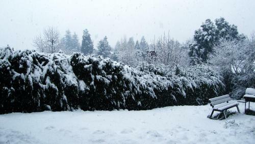 Apartamento Urlaub In Bariloche