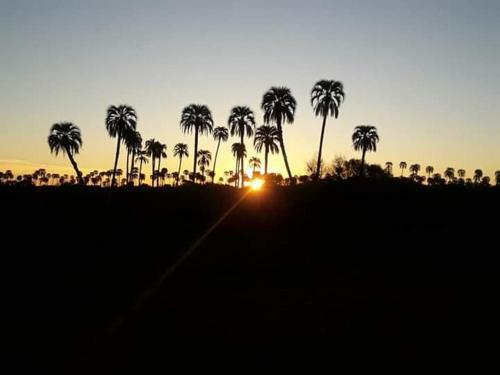 Apartamento Bungalows Payma
