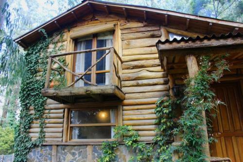 Bed & Breakfast Caba�as Las Moras