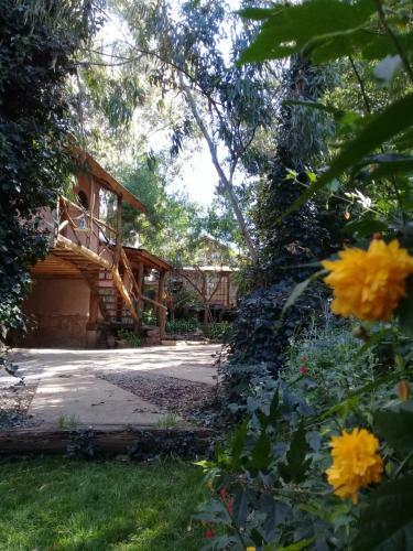 Bed & Breakfast Caba�as Las Moras