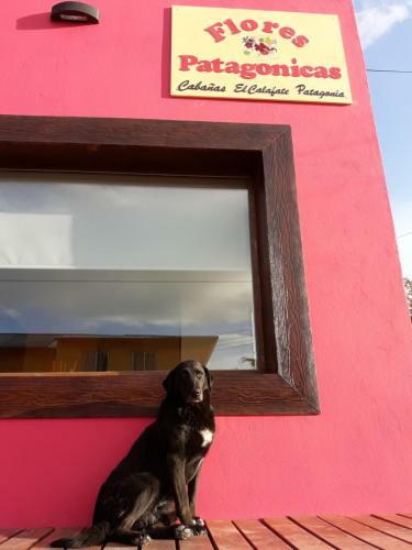 Apartamento Departamentos En Calafate