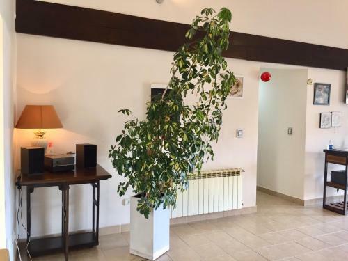 Hostal Keoken