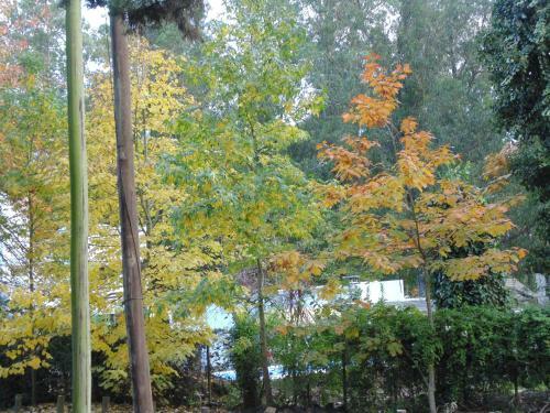 Lodge Alpina Caba�as