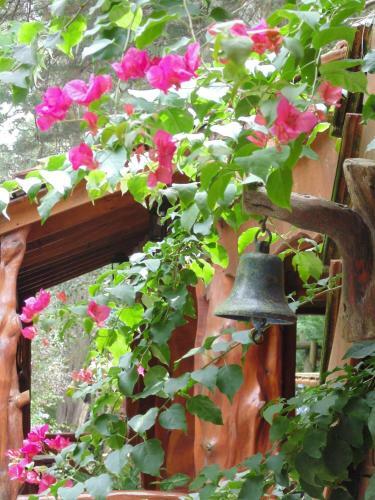 Lodge Alpina Caba�as