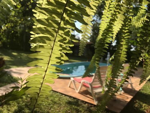 Lodge Caba�as Katy-arte
