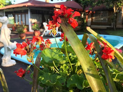 Lodge Caba�as Katy-arte