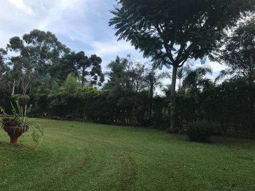 Lodge Caba�as Katy-arte
