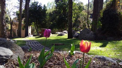 Lodge Las Nubes Caba�as & Loft