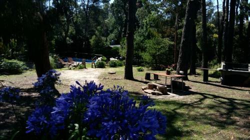 Lodge Montebello Caba�as