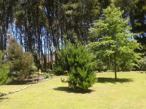 Lodge Montebello Caba�as