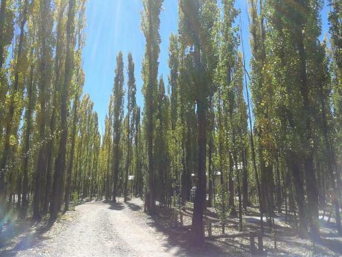 Bosque De Sol