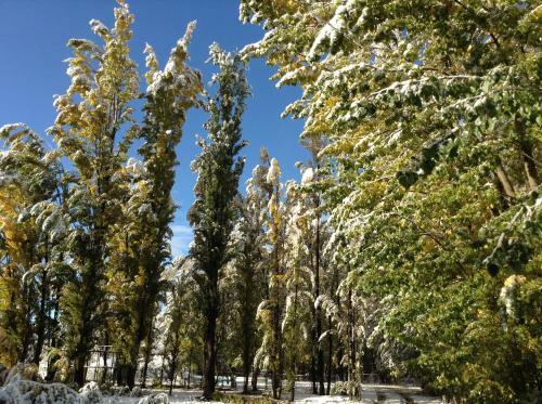 Bosque De Sol