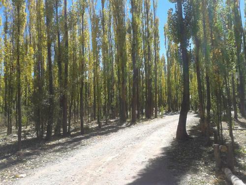 Bosque De Sol