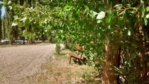 Bosque De Sol