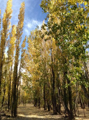 Bosque De Sol
