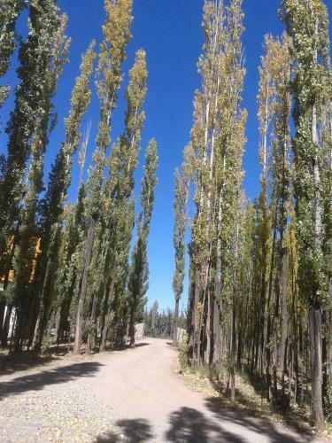 Bosque De Sol