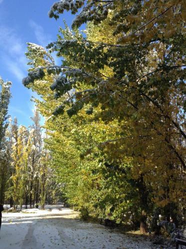 Bosque De Sol