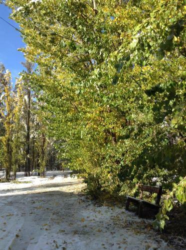 Bosque De Sol