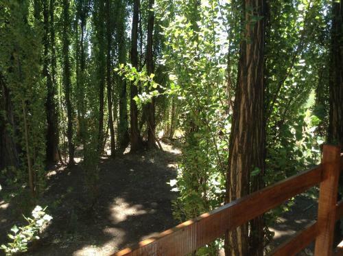 Bosque De Sol