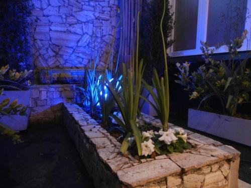 Lolo Hotel Boutique
